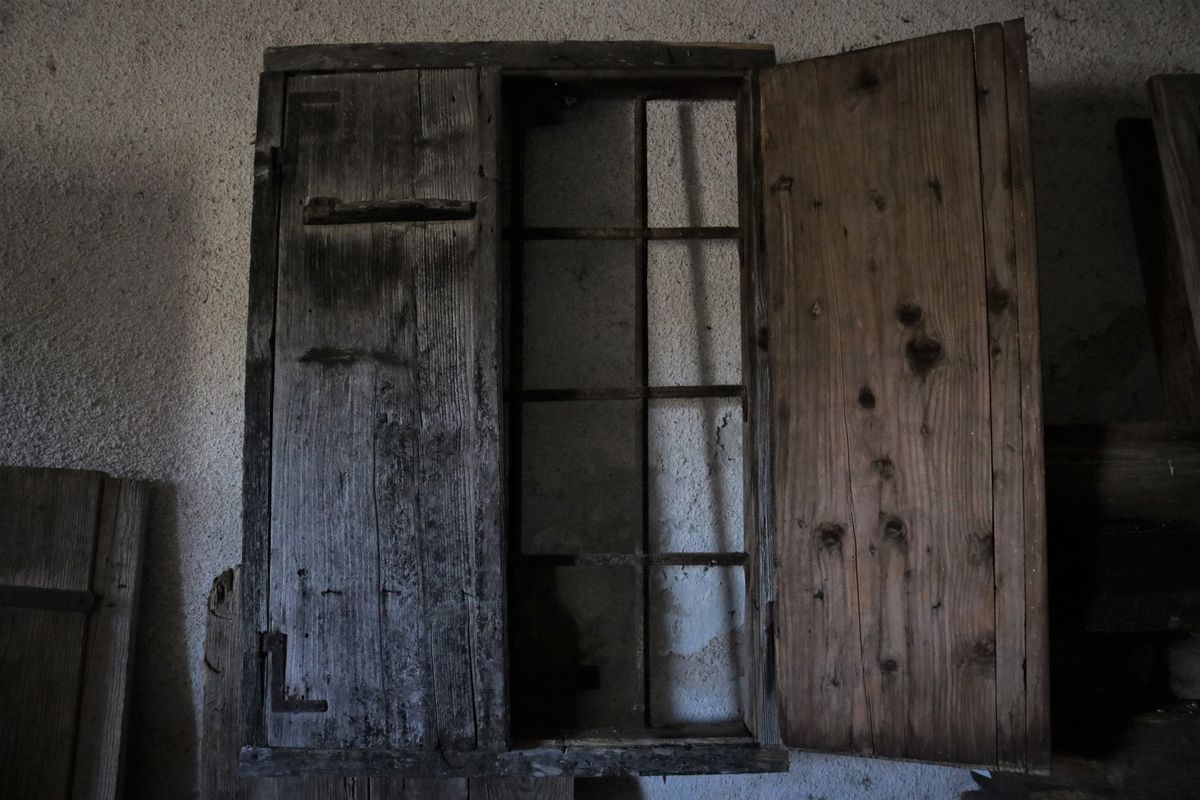 Surovine iz naravnega starega lesa - slika 3