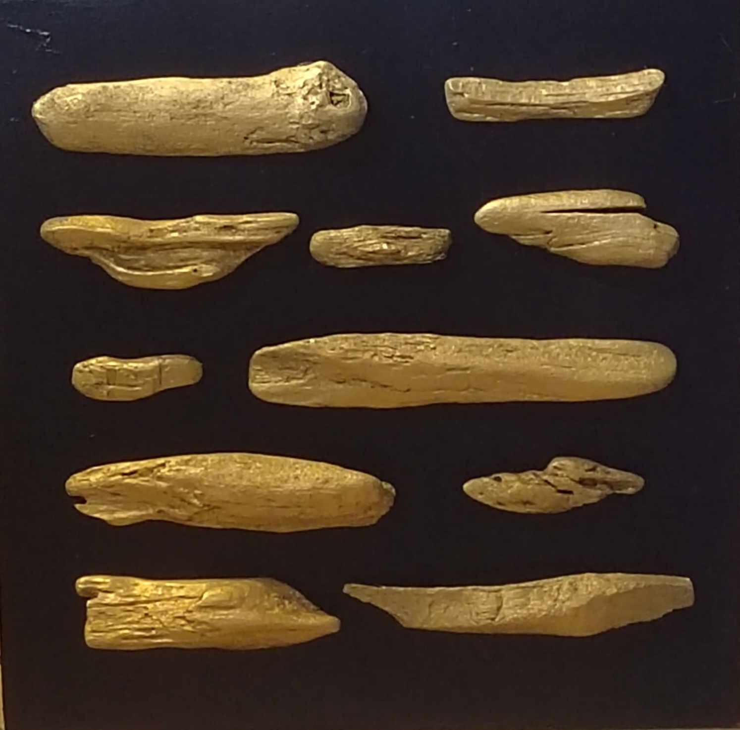 drift-wood