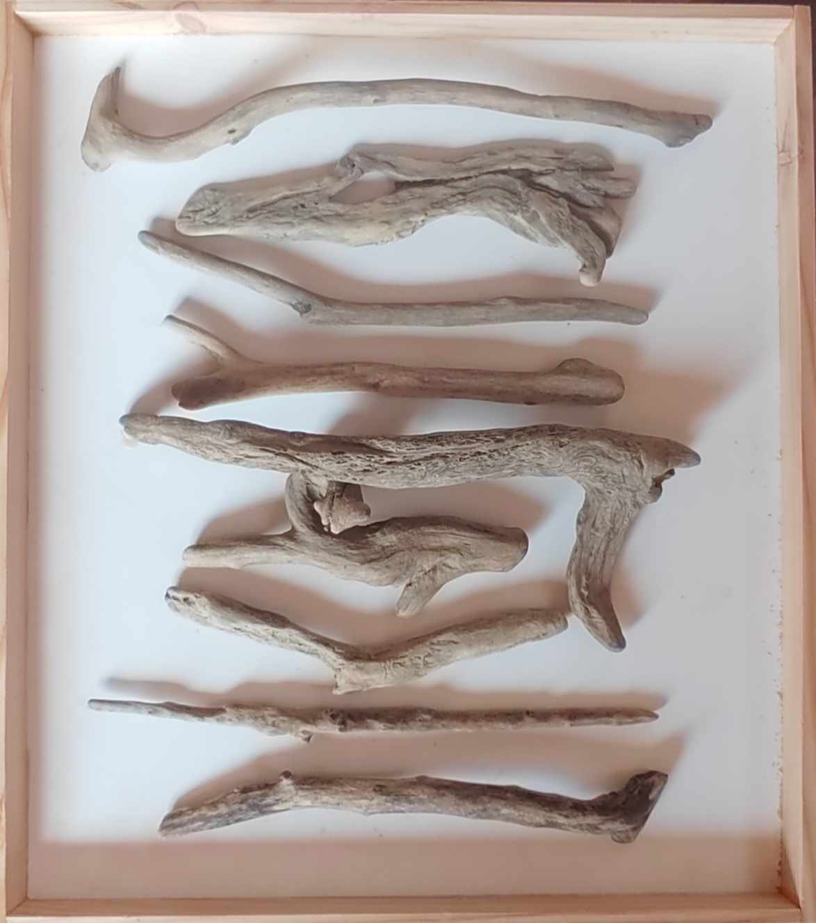drift-wood