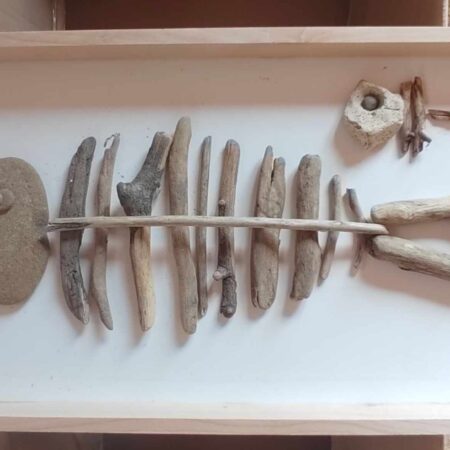 drift-wood