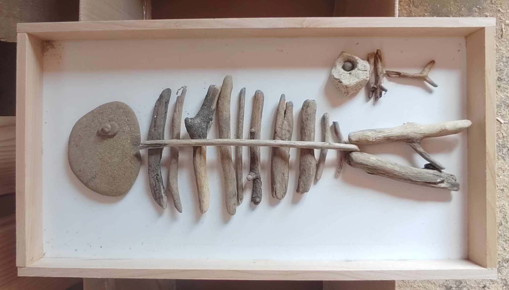 drift-wood